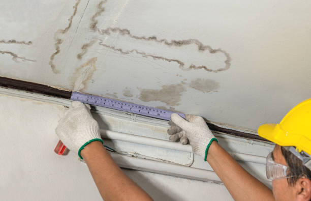 Reliable Sewage Cleanup contractor in Grosse Ile, MI by Water Damage Irwin